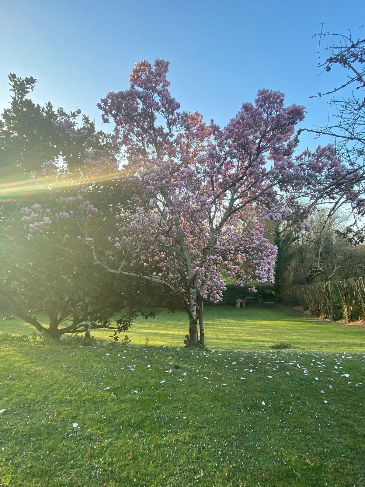 Vue du domaine au printemps