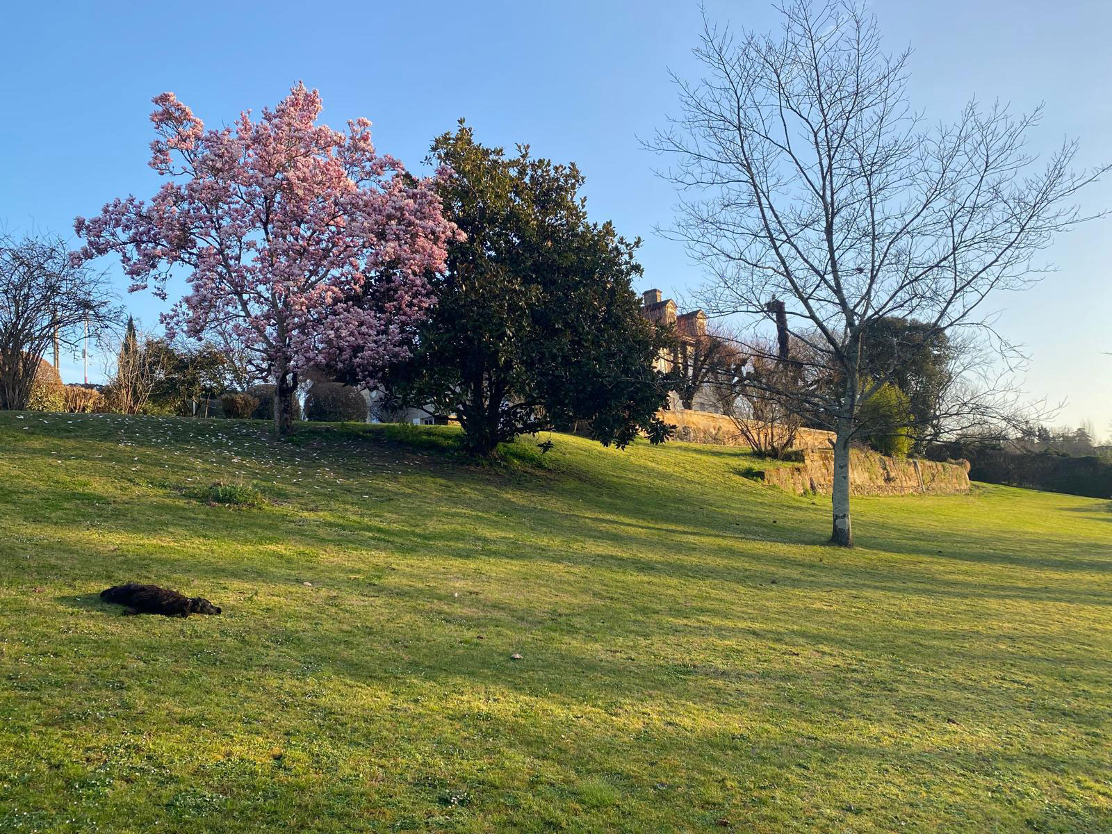 Vue du domaine au printemps