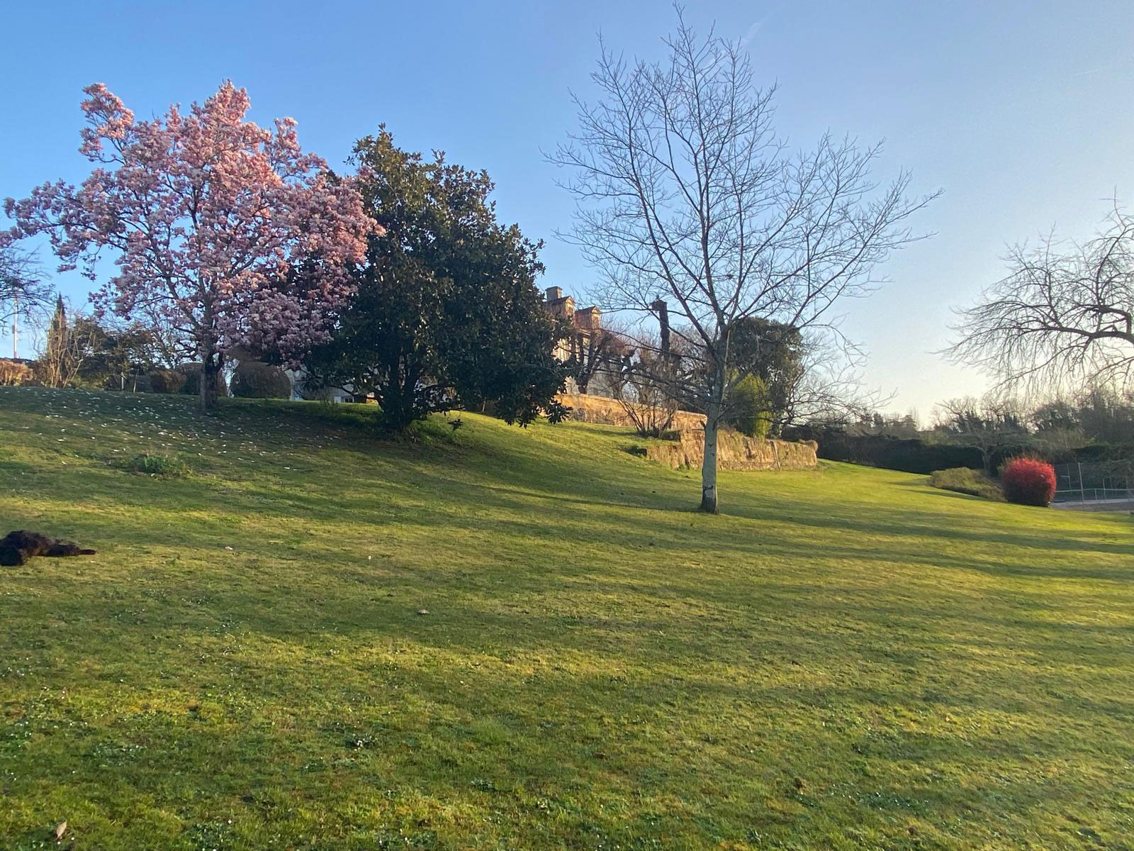 Vue du domaine au printemps