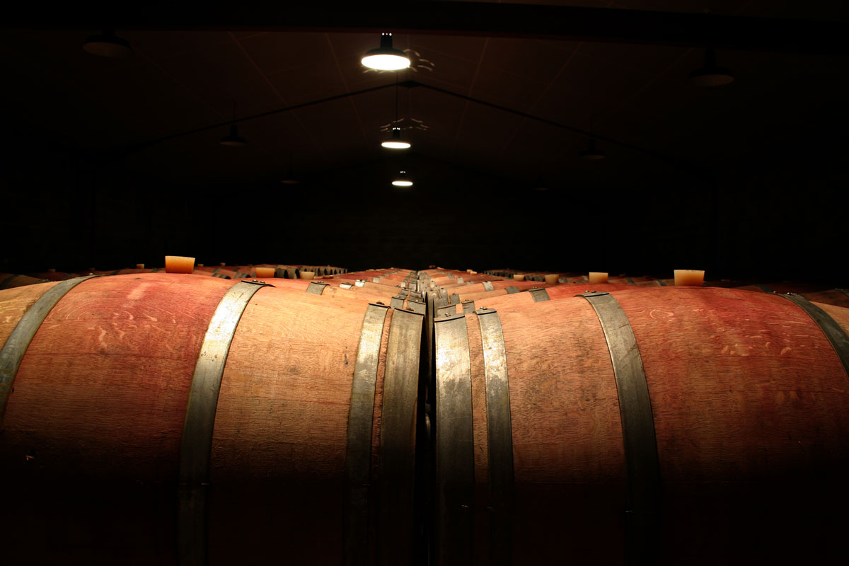 Barriques dans le chai