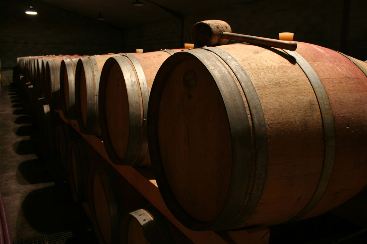 Barriques dans le chai
