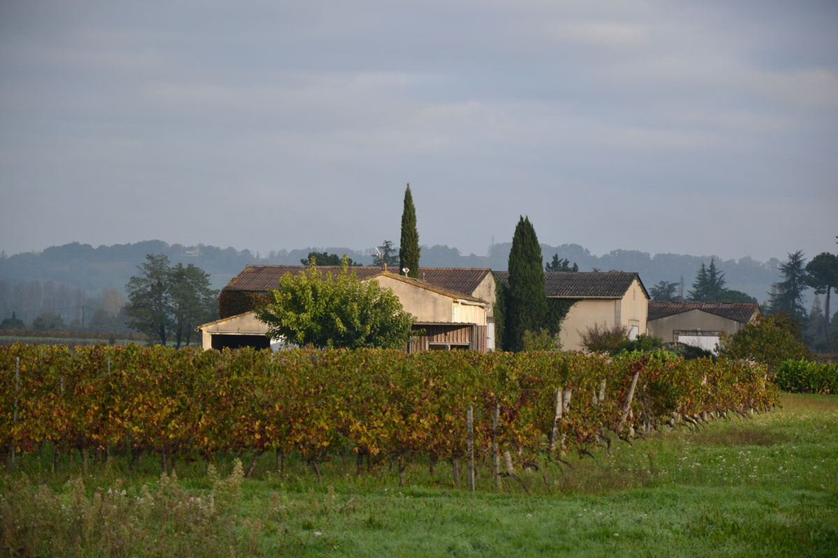 Vue du domaine à l'automne